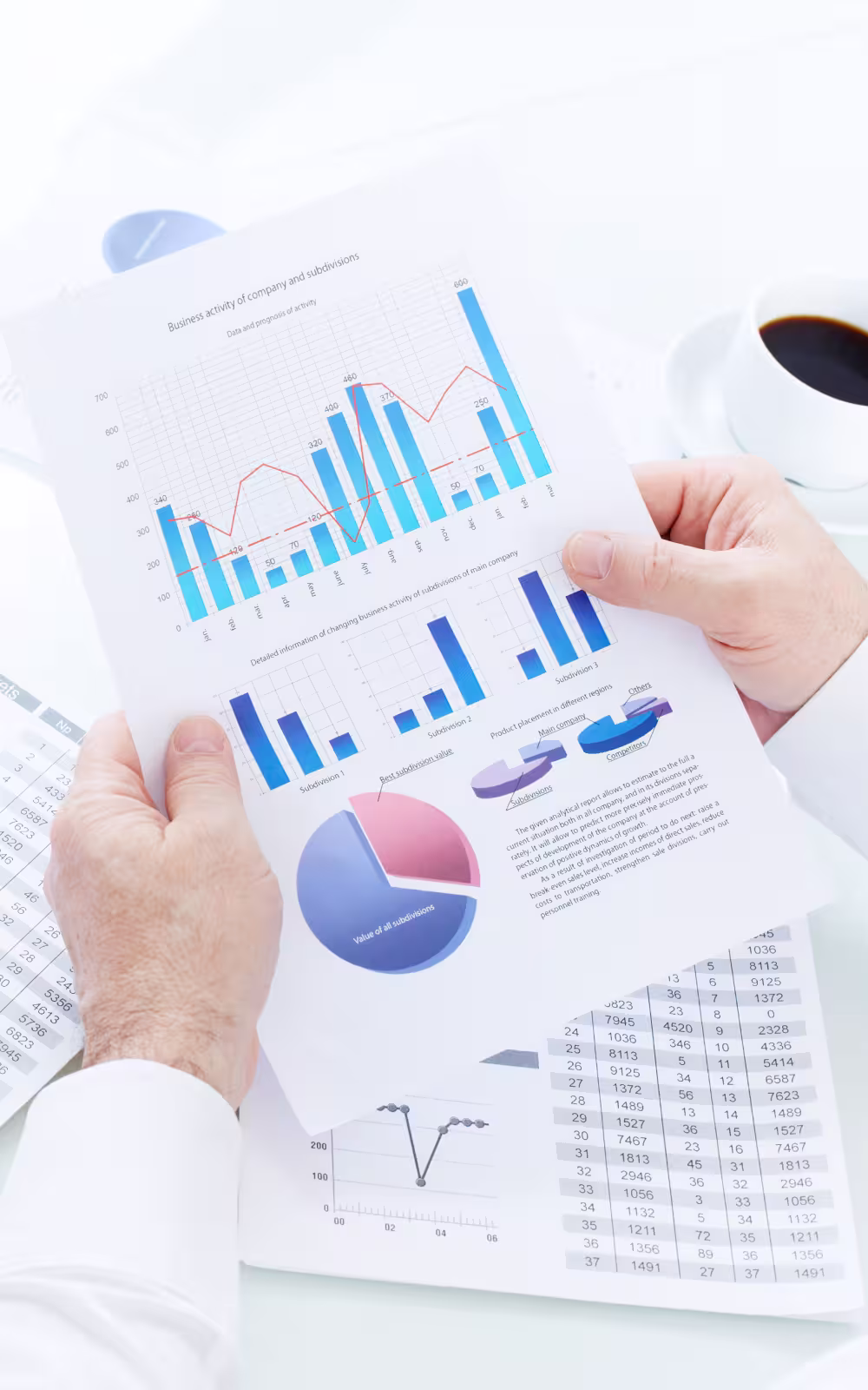 Dashboard & Data Analytics (BI)
